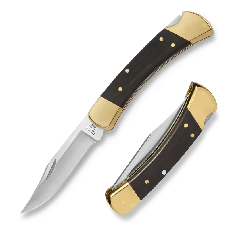 Buck Knives 110 Folding Hunter Knife, 3-3/4" Blade, Lockback Design, Ebony Handle, Brass Bolsters, 420HC Stainless Steel Clip Point Blade, Sheath Included, Hunting Knife Made in the USA, 7.2 oz