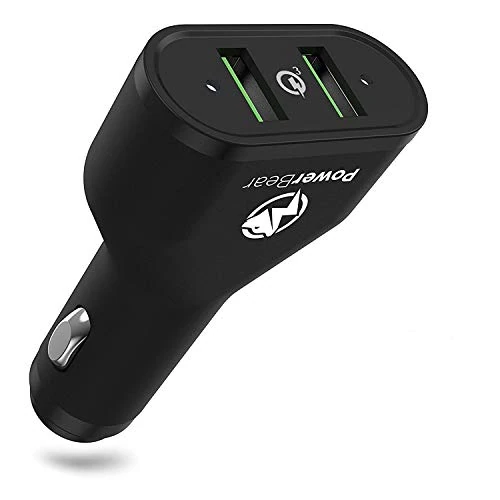 PowerBear Portable AM/FM Radio - 2AA Battery, Long Range, Grey