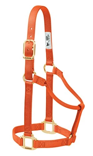 Weaver Leather Original Non-Adjustable Nylon Horse Halter, Yearling, Orange - Image 1
