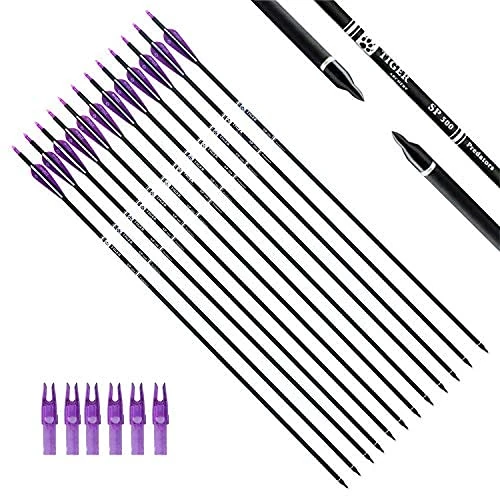 TIGER ARCHERY 30Inch Carbon Arrow Practice Hunting Arrows with Removable Tips for Compound & Recurve Bow(Pack of 12) (Purple White)