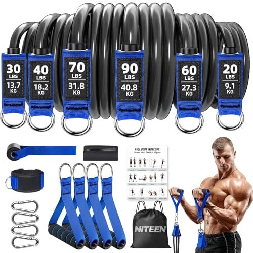 310lbs Heavy Resistance Bands for Working Out, NITEEN Resistance Bands with Handles Weight Exercise Bands for Men Women, Workout Bands with Door Anchor and Ankle Straps Strength Training Equipment