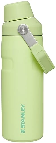 STANLEY IceFlow Fast Flow Water Bottle 16 oz | Angled Spout Lid | Lightweight and Leakproof for Travel and Sports | Insulated Stainless Steel | BPA-Free | Citron
