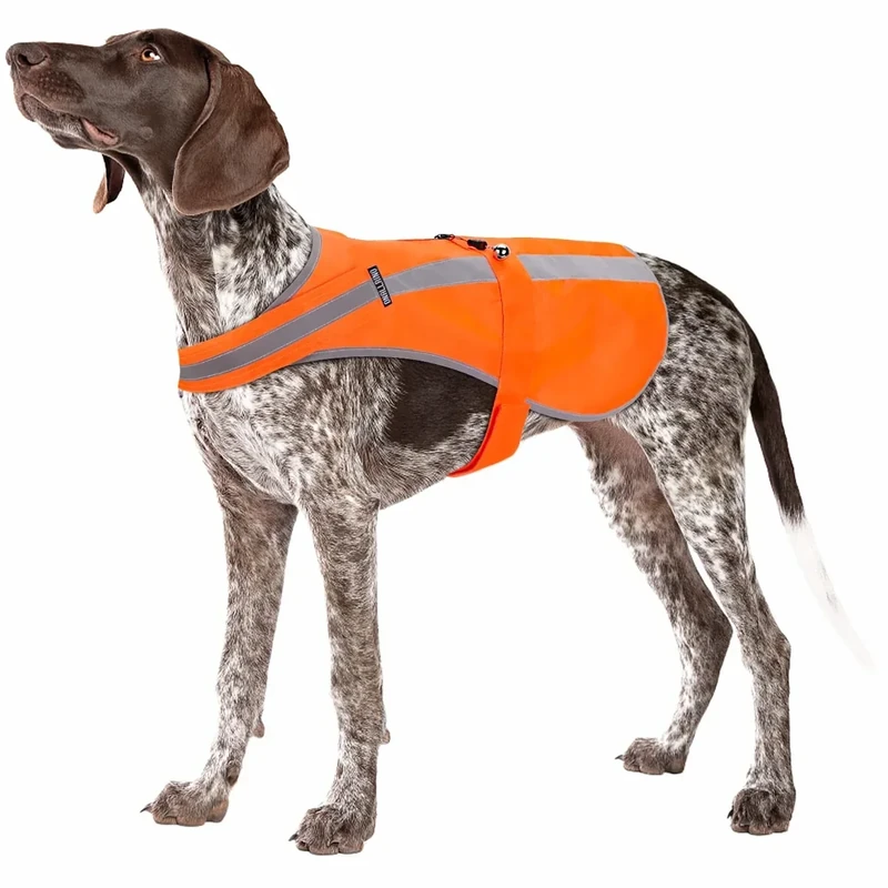 Reflective Dog Vest for Small Medium Breeds, High Visibility Dog Safety Vest with Removable Bell Keep Safe from Hunting, Training & Cars Accidents