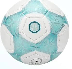 STEEFAN Soccer Ball - Image 1