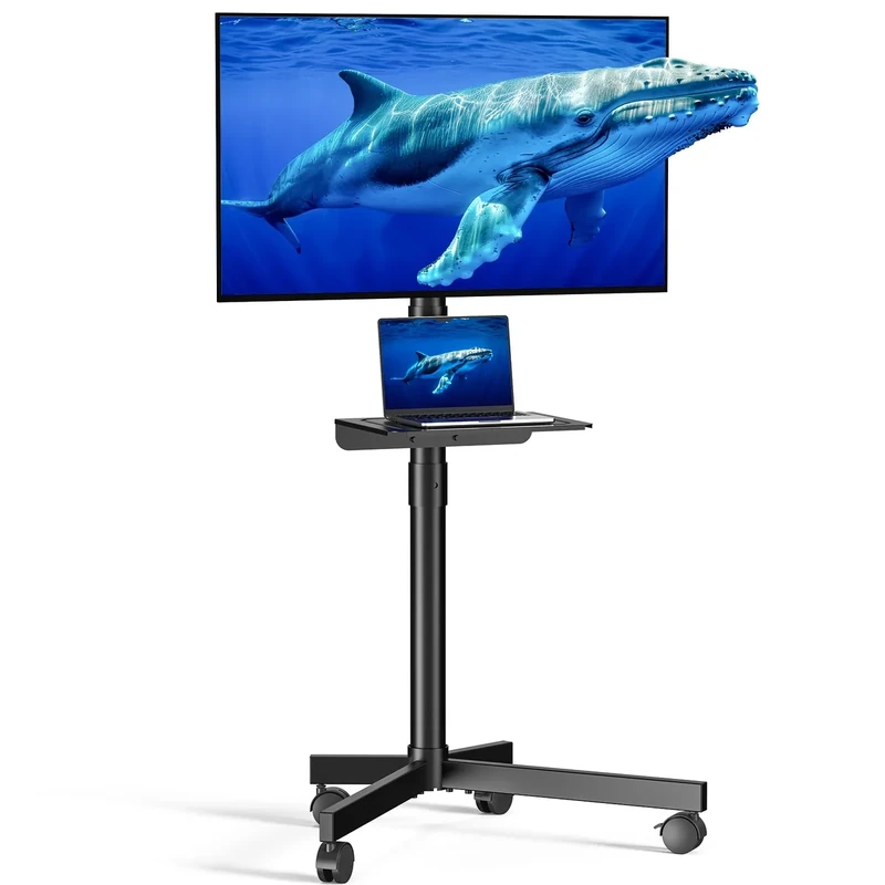 Xyndyx Mobile TV Cart - Stand for 23-60" TVs, 88lb, VESA 400x400