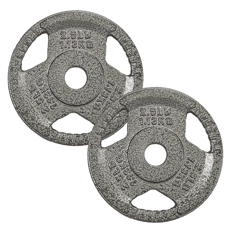 Fitvids Cast Iron 1-Inch Standard Weight Plate for Strength Training & Weightlifting – Multiple Weights Available – 2.5LB Pair – Gray