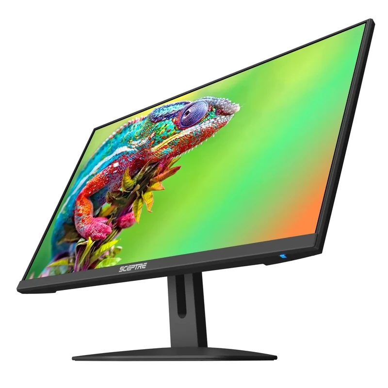 Sceptre 24-inch Gaming Monitor 100Hz FreeSync - E248W-FW100T