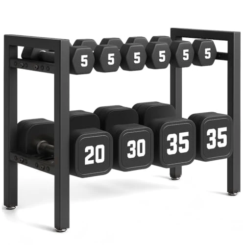 Dumbbell Rack 2-Tier 20 IN Length Adjustable Weight Rack For Home Gym Dumbbells Kettlebell (Rack Only)