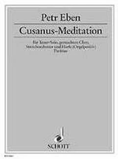 Cusanus-Meditation: "Du, Herr, bist der Begleiter meiner Wanderfahrt". mixed choir (SATB) with tenor solo, string orchestra and harp (organpositiv) or with organ. Jeu de parties de cordes. - Image 1
