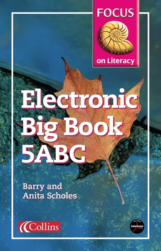 Electronic Big Book 5A/B/C: A superb collection of electronic texts from favourite children’s authors (Focus on Literacy)