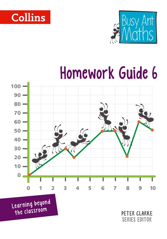 Homework Guide 6 (Busy Ant Maths)