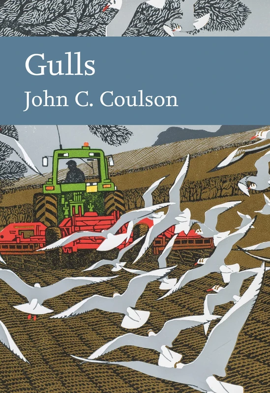 Gulls: Discover the Secret Lives of Seabirds in This Comprehensive Wildlife Nature Book: Book 139 (Collins New Naturalist Library)