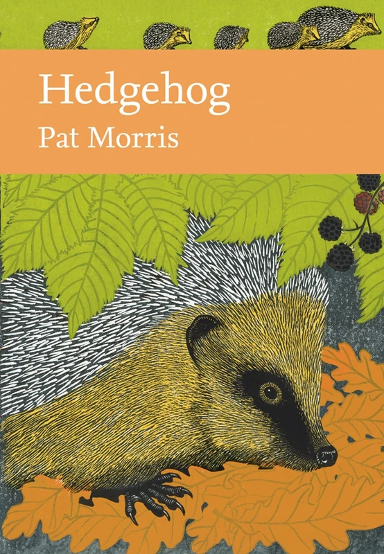Hedgehog: Book 137 (Collins New Naturalist Library) - Image 1