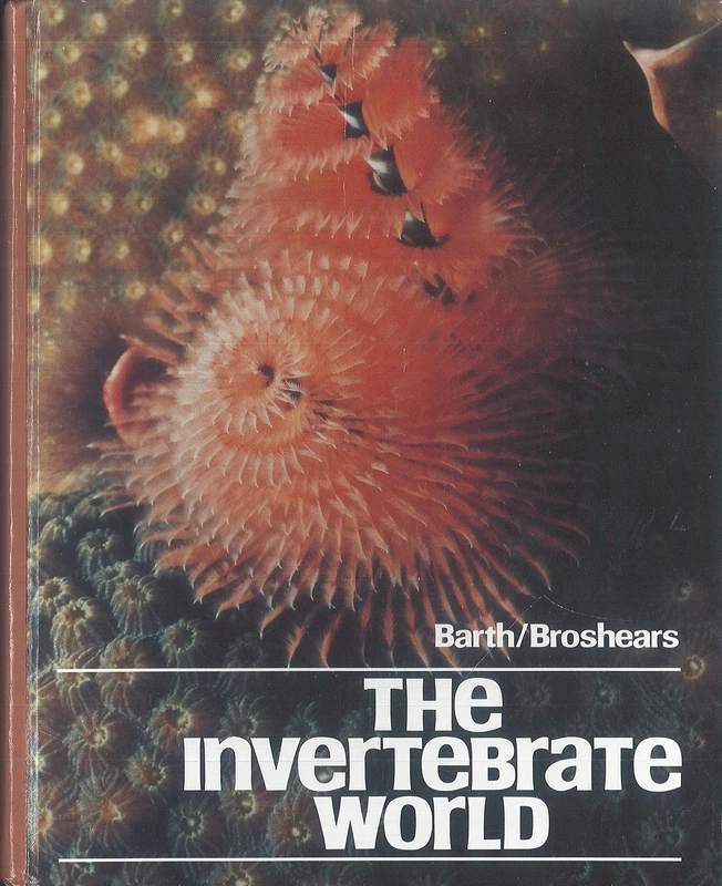 The Invertebrate World