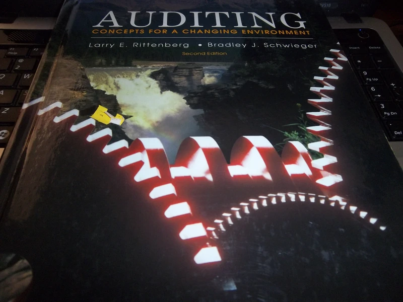 Rittenberg Auditing