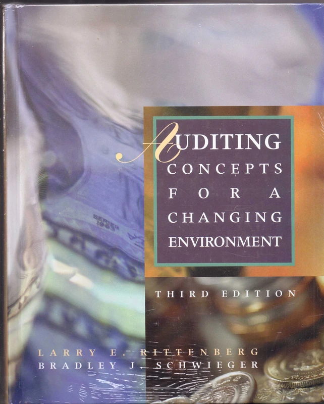 Auditing: Concepts for a Changing Environment - Image 1