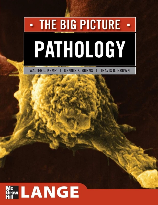 Pathology: The Big Picture: The Big Picture: The Big Picture (LANGE The Big Picture)