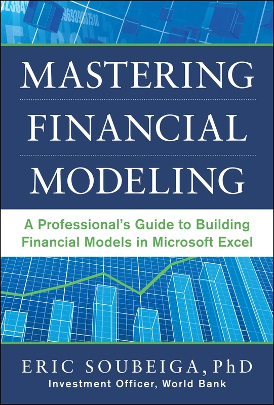 Mastering Financial Modeling: A ProfessionalΓÇÖs Guide to Building Financial Models in Excel (GENERAL FINANCE & INVESTING)