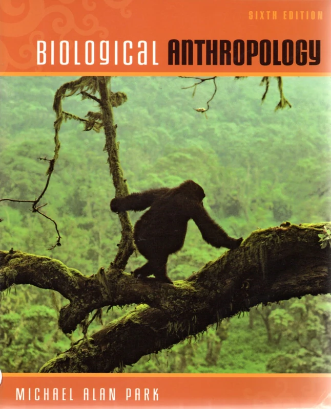 Biological Anthropology