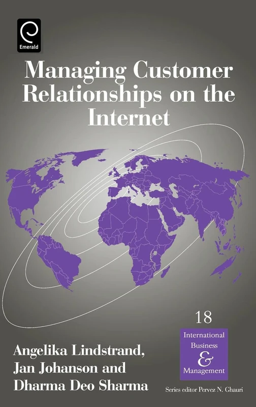 Managing Customer Relationships on the Internet: 18 (International Business and Management, 18)
