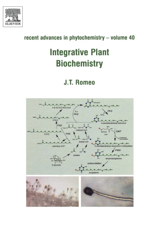 Integrative Plant Biochemistry: 40 (Recent Advances in Phytochemistry): Volume 40
