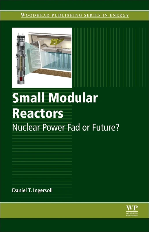 Small Modular Reactors: Nuclear Power Fad or Future?