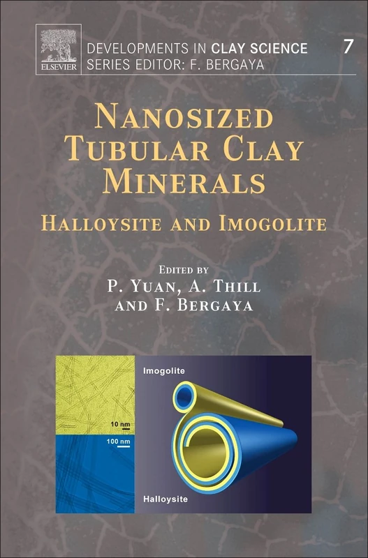 Nanosized Tubular Clay Minerals: Halloysite and Imogolite (Developments in Clay Science): Volume 7