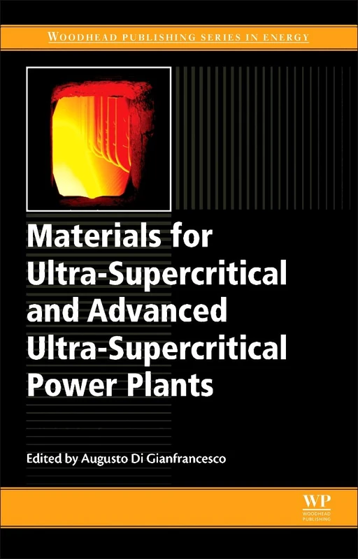 Materials for Ultra-Supercritical and Advanced Ultra-Supercritical Power Plants (Woodhead Publishing Series in Energy, 104)