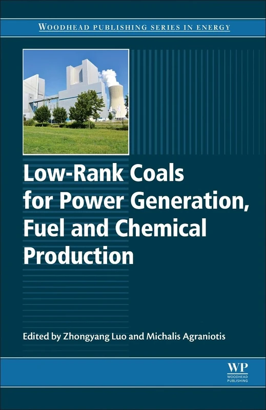 Low-rank Coals for Power Generation, Fuel and Chemical Production (Woodhead Publishing Series in Energy)
