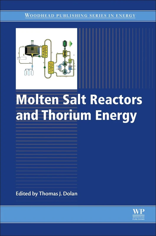 Molten Salt Reactors and Thorium Energy (Woodhead Publishing Series in Energy)