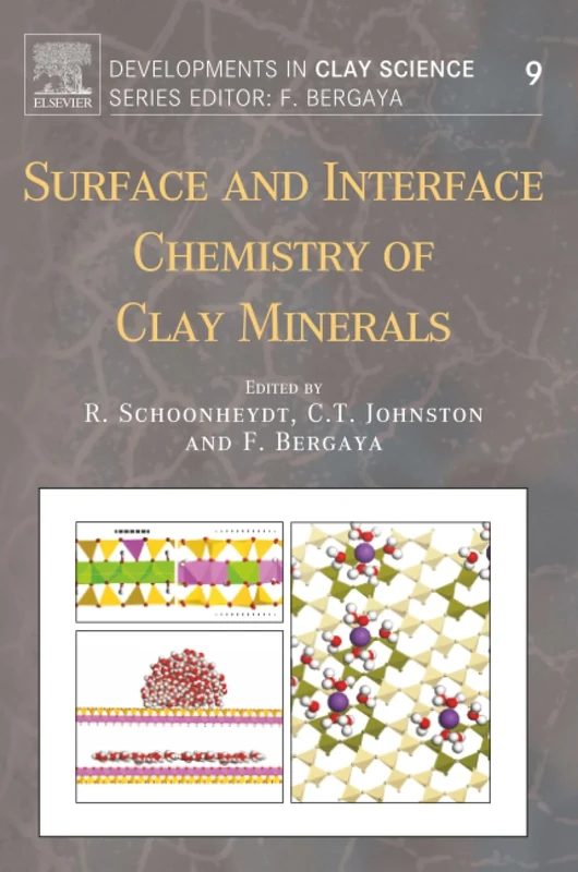 Surface and Interface Chemistry of Clay Minerals: Volume 9 (Developments in Clay Science, Volume 9)