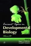 Current Topics in Developmental Biology (Volume 38)