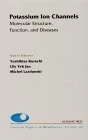 Potassium Ion Channels: Molecular Structure, Function, and Diseases (Volume 46) (Current Topics in Membranes, Volume 46)