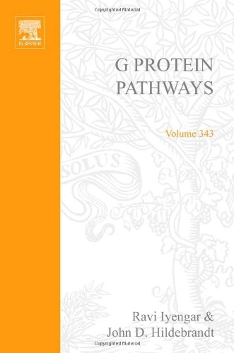 G Protein Pathways: Receptors Pt. A (Methods in Enzymology): Volume 343