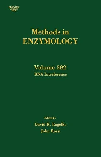RNA Interference (Volume 392) (Methods in Enzymology, Volume 392)