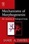 Mechanisms of Morphogenesis