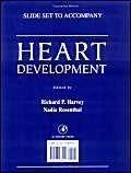 Heart Development Slide Set