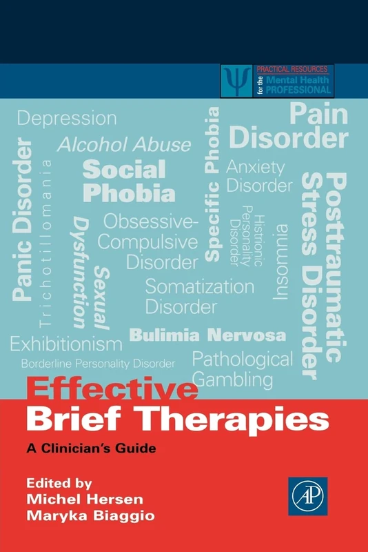 Effective Brief Therapies: A Clinician's Guide (Practical Resources for the Mental Health Professional)