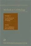 Neurons: Neurons - Methods and Applications for the Cell Biologist v. 71 (Methods in Cell Biology): Volume 71
