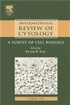 International Review of Cytology: v. 236: A Survey of Cell Biology (International Review of Cell & Molecular Biology) (International Review of Cell and Molecular Biology): Volume 236