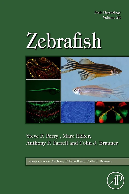 Fish Physiology: Zebrafish (Volume 29) (Fish Physiology, Volume 29)