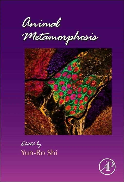 Animal Metamorphosis: 103 (Current Topics in Developmental Biology): Volume 103