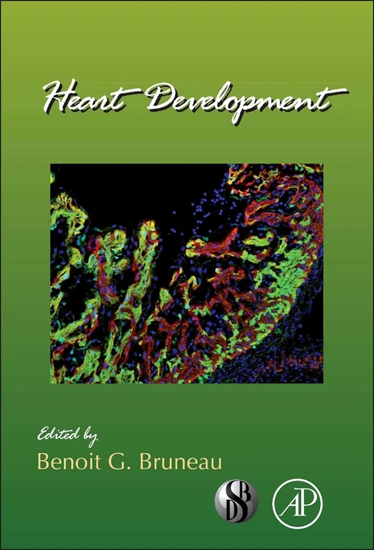 Academic Press Heart Development: 100 - Volume 100 Book