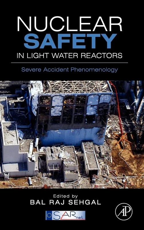 Nuclear Safety in Light Water Reactors: Severe Accident Phenomenology