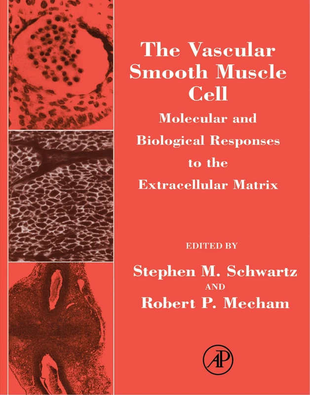 The Vascular Smooth Muscle Cell: Molecular and Biological Responses to the Extracellular Matrix
