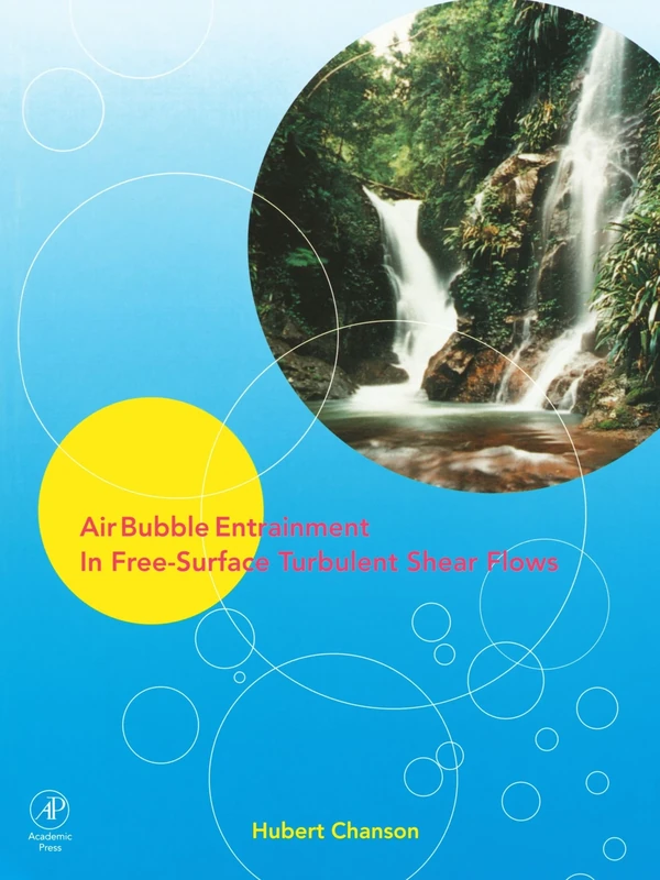 Air Bubble Entrainment in Free-Surface Turbulent Shear Flows