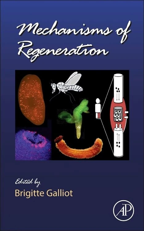 Mechanisms of Regeneration: 108 (Current Topics in Developmental Biology): Volume 108