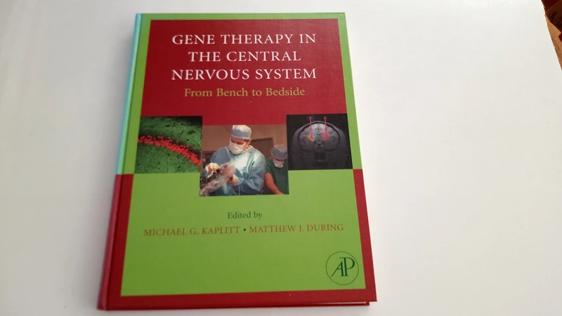 Gene Therapy of the Central Nervous System: From Bench to Bedside