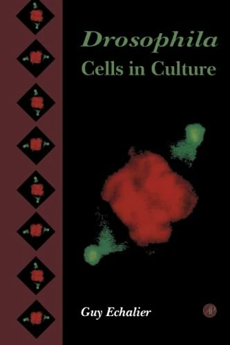 Drosophila Cells in Culture