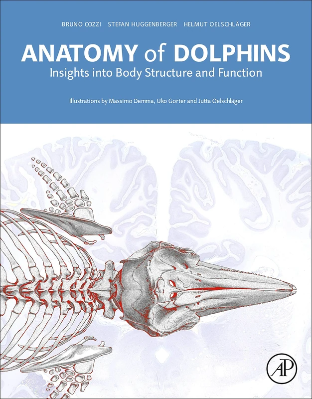 Anatomy of Dolphins: Insights into Body Structure and Function